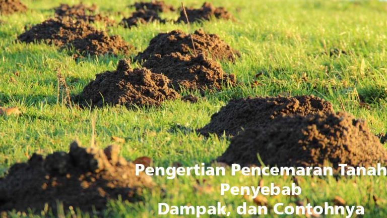 Mengenal Ciri Dan Penyebab Pencemaran Tanah Konteks Porn Sex Picture