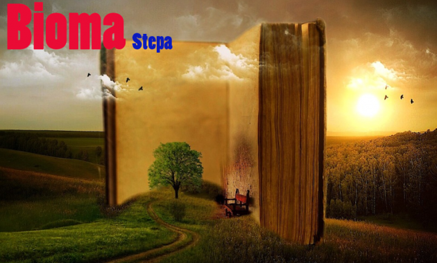 Bioma Stepa