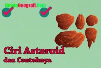 Ciri Asteroid