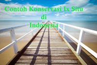 Konservasi In Situ di Indonesia