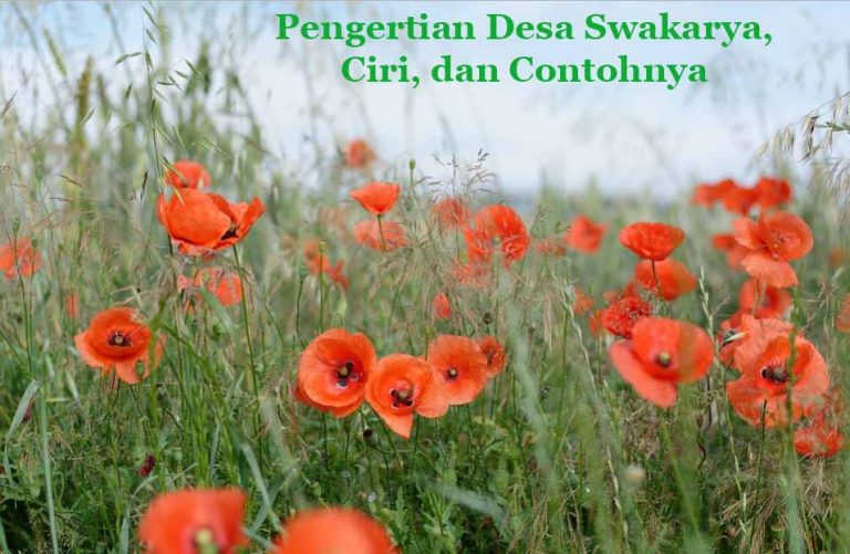 Mengenal Desa Swakarya Beserta Ciri Fungsi Dan Contoh