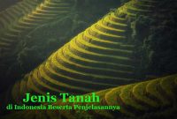 Macam Tanah di Indonesia
