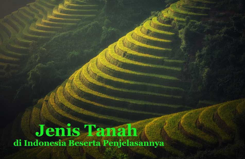 Macam Tanah di Indonesia
