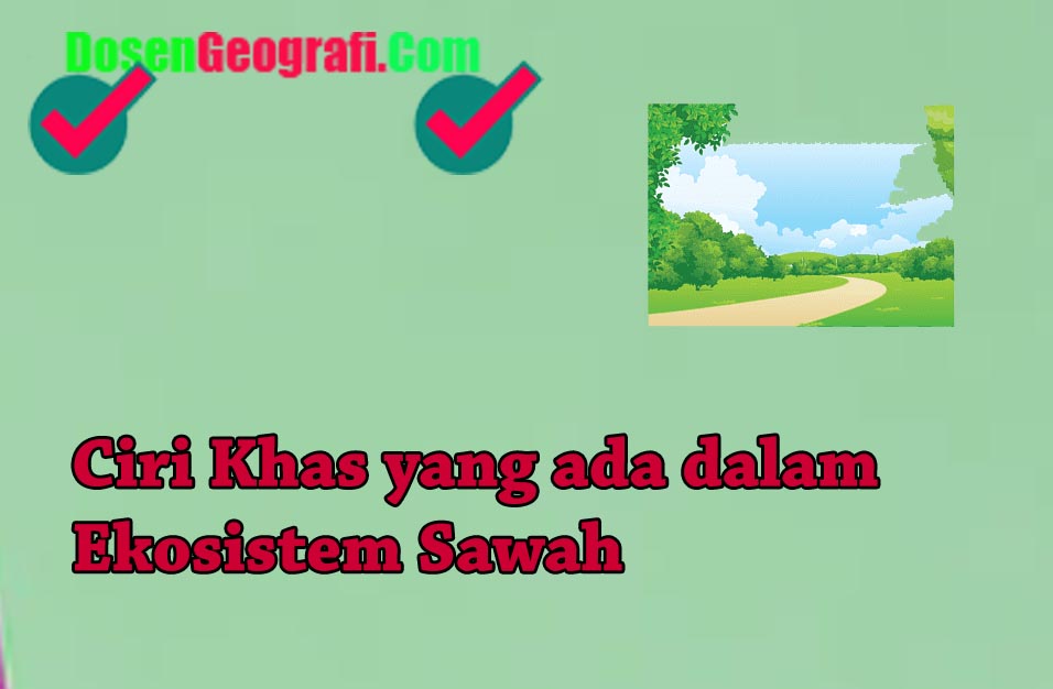 Karakteristik Ekosistem Sawah