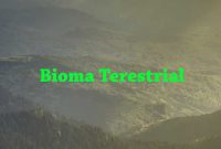 Bioma Terestrial