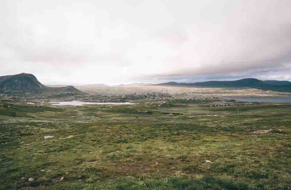 Bioma Tundra