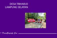 DESA TRIHARJO