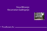 Desa Blitarejo Kecamatan Gadingrejo