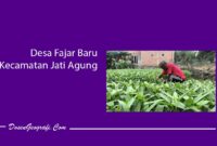 Desa Fajar Baru Kecamatan Jati Agung