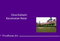 Desa Kaliasin Kecamatan Natar