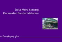 Desa Moro Seneng Kecamatan Bandar Mataram