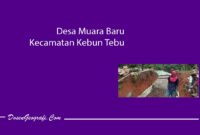 Desa Muara Baru Kecamatan Kebun Tebu