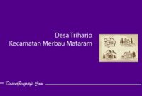 Desa Triharjo Kecamatan Merbau Mataram