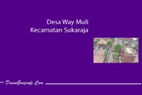 Desa Way Muli Kecamatan Sukaraja