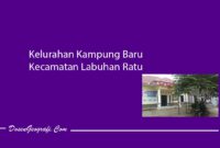Kelurahan Kampung Baru Kecamatan Labuhan Ratu