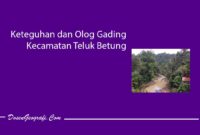 Keteguhan dan Olog Gading Kecamatan Teluk Betung