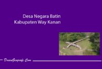 Desa Negara Batin Kabupaten Way Kanan